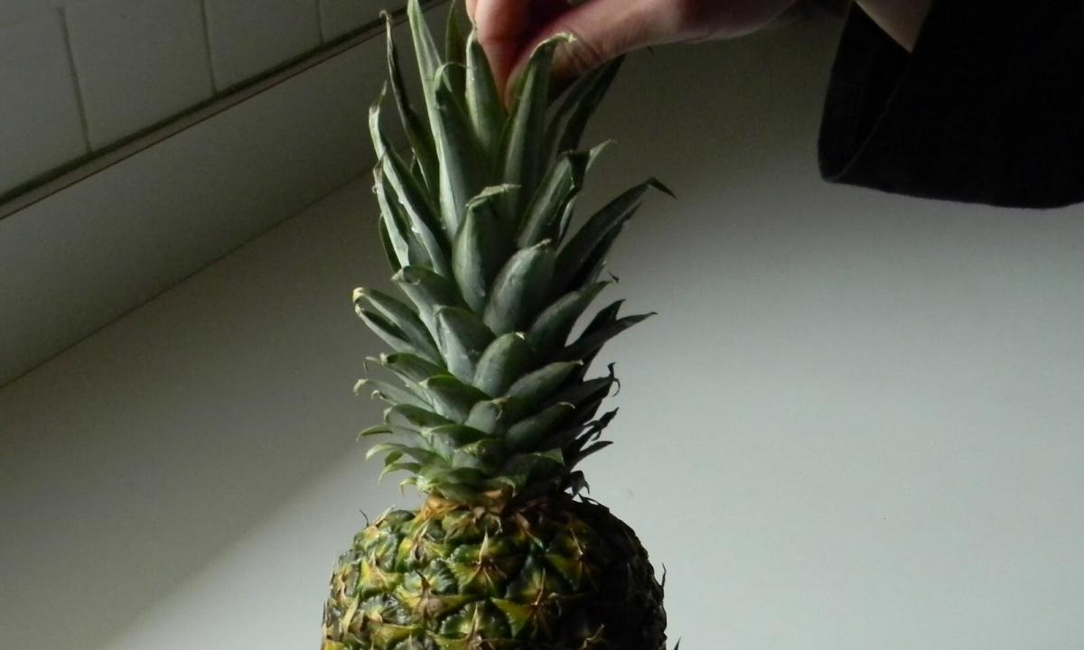 How to choose pineapple?